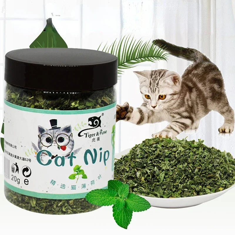 Organic 100% Natural High Quality Catnip Cattle Grass Mint Taste